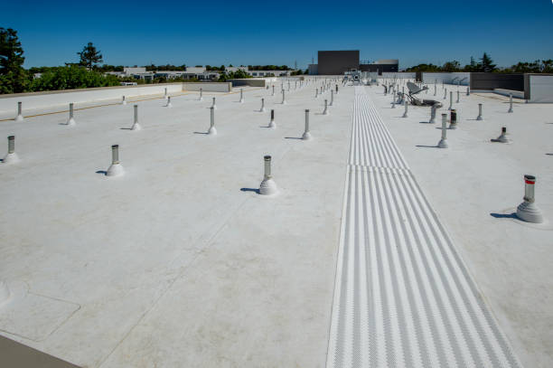 Best Roof Ventilation Installation  in Kayenta, AZ